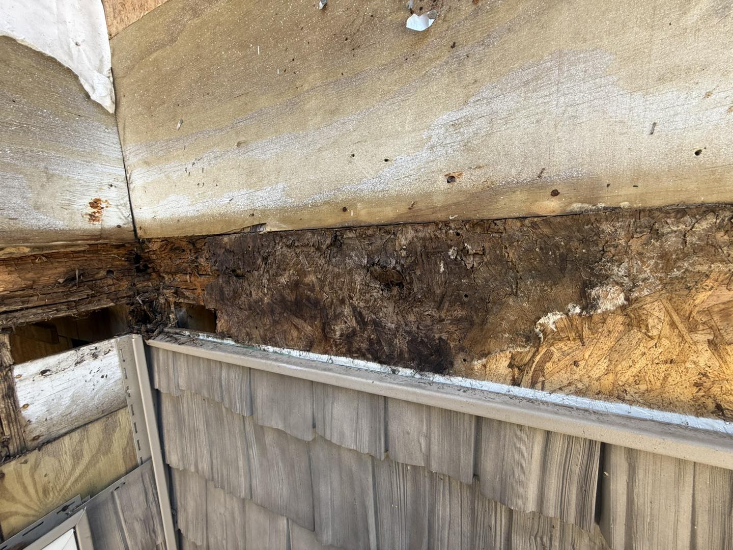 Structural rot damage repair